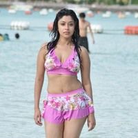 Payal Ghosh Hot Photos | Picture 36507